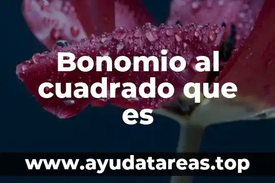 Bonomio al cuadrado que es