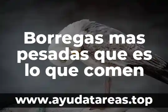 Borregas mas pesadas que es lo que comen