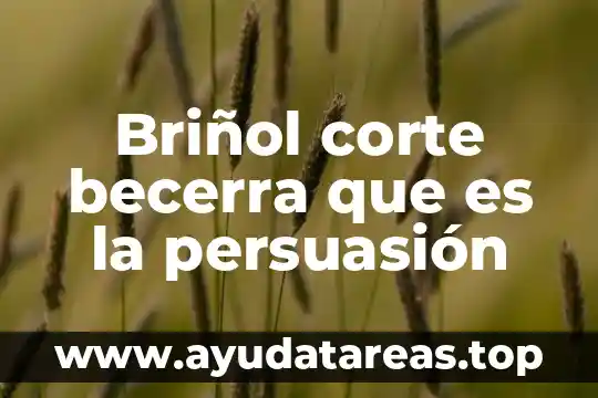Briñol corte becerra que es la persuasión