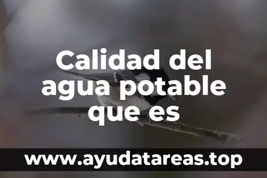 Que es la calidad en instrumentacion 5 Calidad del agua potable que es