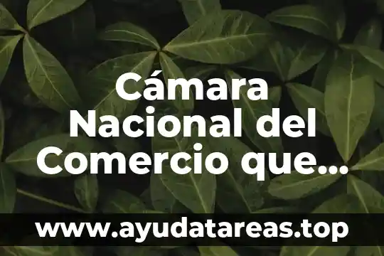Qué es una cámara de cine 7 Cámara Nacional del Comercio que es