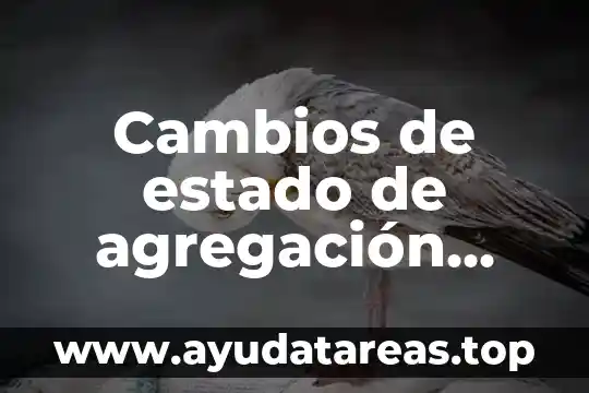 Cambios de estado de agregación que es
