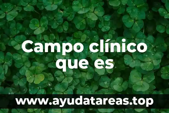 Que es archivo clinico de un hospital 8 Campo clínico que es