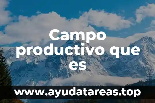 Campo productivo que es