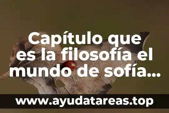 Capítulo que es la filosofía el mundo de sofía resumen