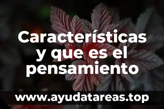 Que es un volante y sus caracteristicas 4 Características y que es el pensamiento