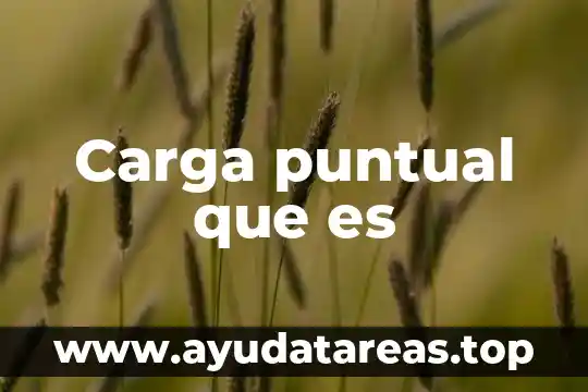 Carga puntual que es