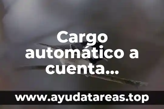 Cargo automático a cuenta citibanamex que es