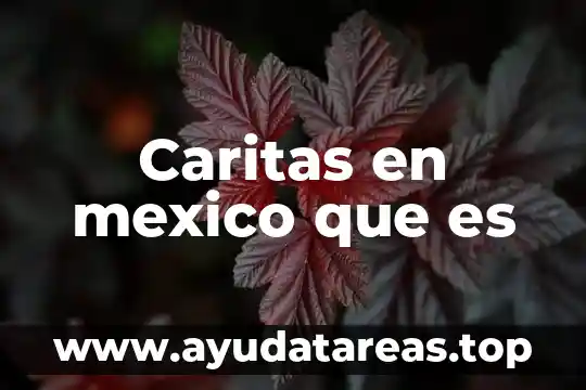 Que es el oktoberfest mexico 5 Caritas en mexico que es