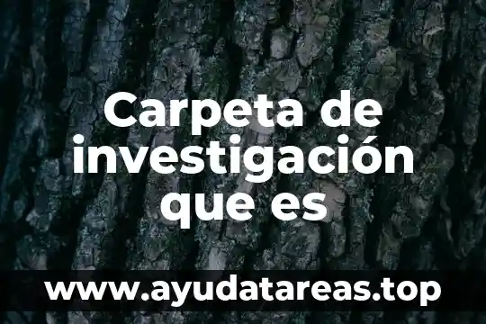 Carpeta de investigación que es