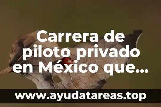 Carrera de piloto privado en México que es