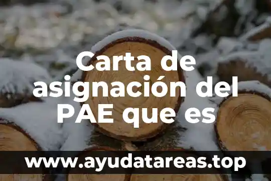 Carta de asignación del PAE que es