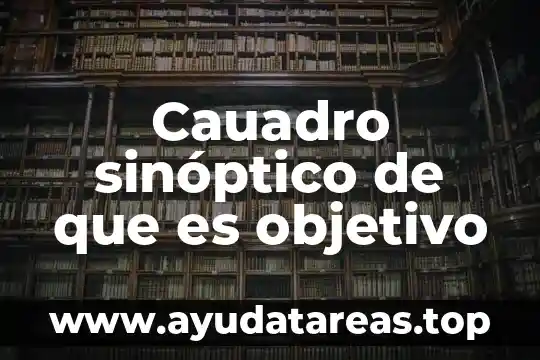 Cauadro sinóptico de que es objetivo