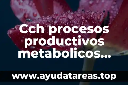 Cch procesos productivos metabolicos que es