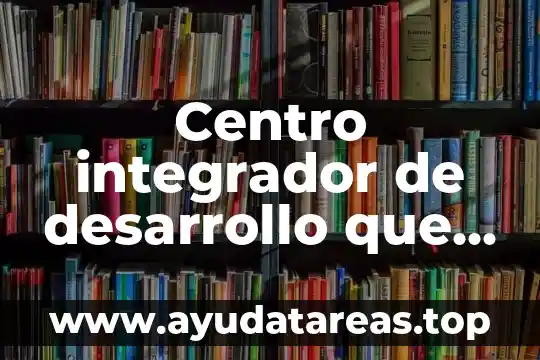 Centro integrador de desarrollo que es