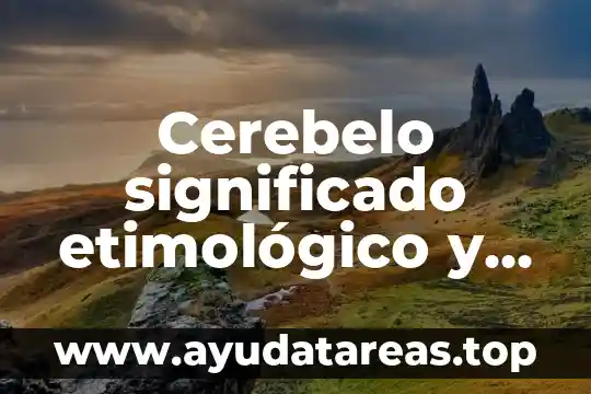 Que es blasfemia significado etimologico 3 Cerebelo significado etimológico y que es