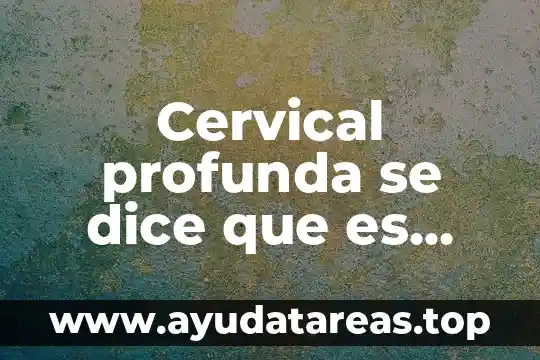 Cervical profunda se dice que es parte del hombro