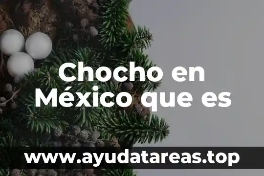 Empresas transnacionales en México 7 Chocho en México que es