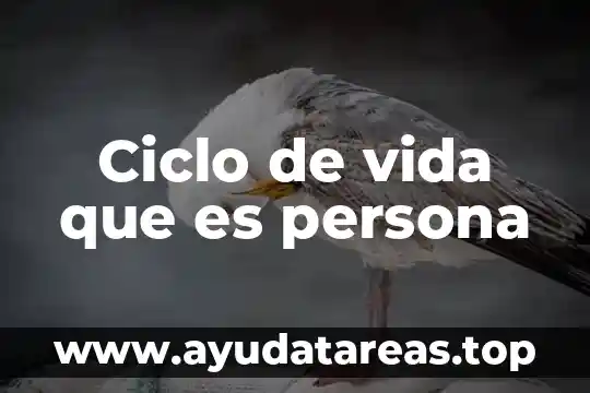 Que es el ciclo hidrológico o del agua 8 Ciclo de vida que es persona