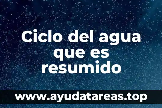 Que es un ciclo de ondas en fisica 8 Ciclo del agua que es resumido