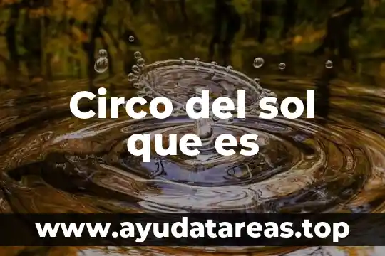 Que es una lista numerada 7 Circo del sol que es