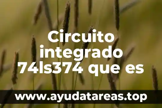 Qué es la filosofía de la enfermeria 6 Circuito integrado 74ls374 que es