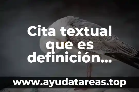 Cita textual que es definición autores