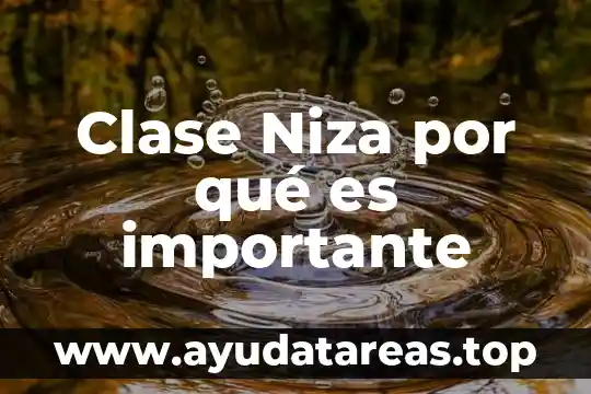 Clase Niza por qué es importante