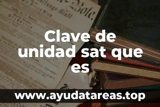 Que es zona metropolitana significado 6 Clave de unidad sat que es