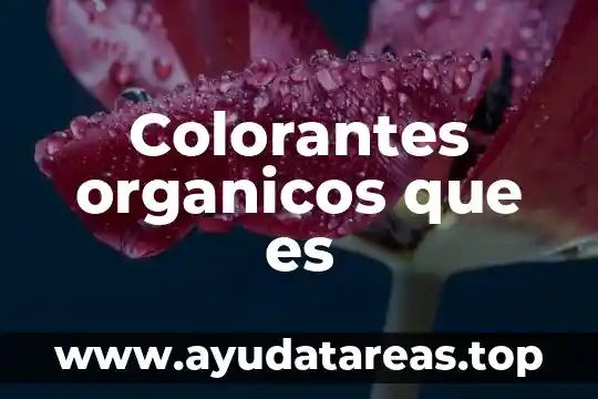 Qué es orgánicos y inorgánicos 7 Colorantes organicos que es