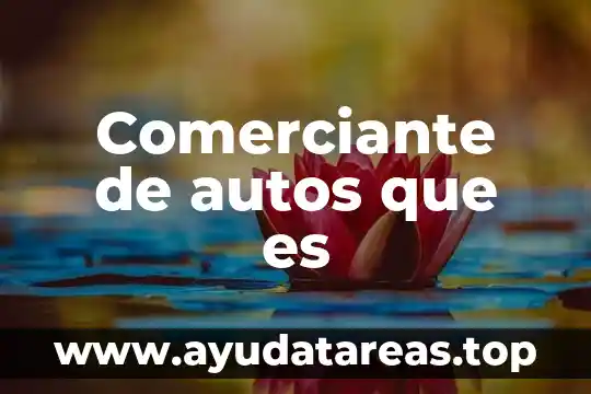 Comerciante de autos que es