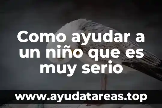 Qué es un niño de eutrofico 5 Como ayudar a un niño que es muy serio