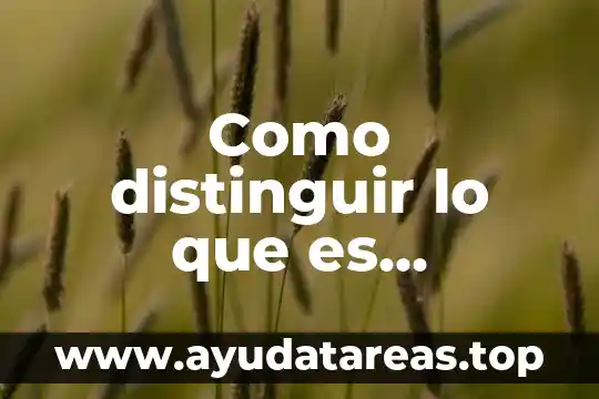 Que es calpulli lo mas importante 6 Como distinguir lo que es importante o no