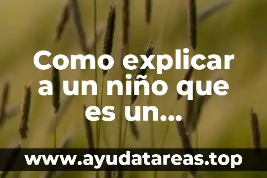 Qué es el número recíproco 5 Como explicar a un niño que es un instructivo