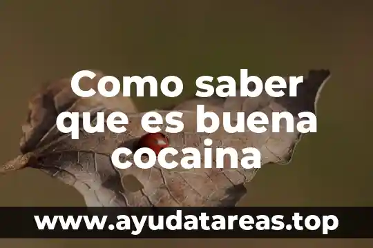 Como saber que es buena cocaina