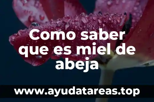 Poe que es importante la abeja para el ser humano 6 Como saber que es miel de abeja