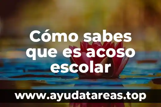 Qué es el acoso en el transporte público definición 6 Cómo sabes que es acoso escolar