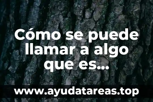 Que es la violencia intrafamiliar tipos 3 Cómo se puede llamar a algo que es violencia intrafamiliar