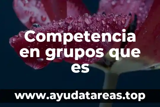 Que es el mercado de dinero por internet 5 Competencia en grupos que es