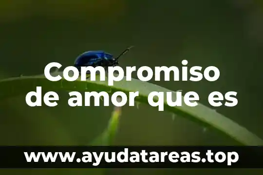 Para que es la existencia humana 5 Compromiso de amor que es