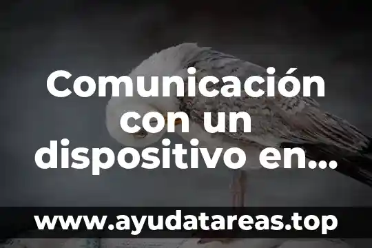 Que es la pesadilla de la red informatica 7 Comunicación con un dispositivo en una red rwmots que es