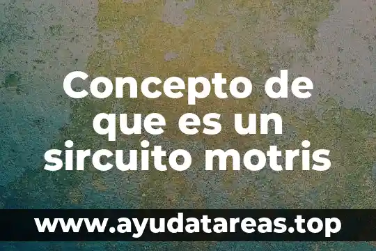 Qué es esencia concepto 8 Concepto de que es un sircuito motris