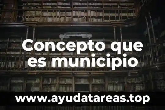 Concepto que es municipio