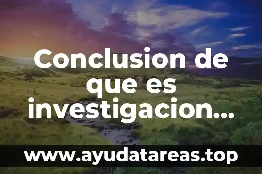 Qué es el número de guía en Mercado Libre 3 Conclusion de que es investigacion de mercado