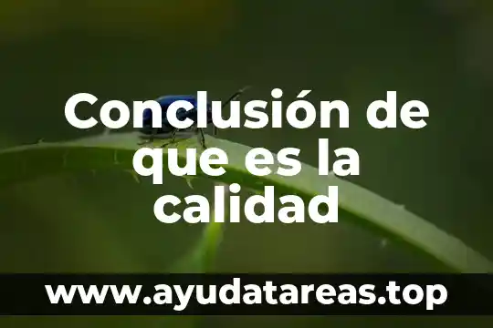 Conclusión de que es la calidad