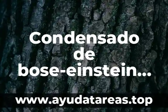 Condensado de bose-einstein que es ejemplos