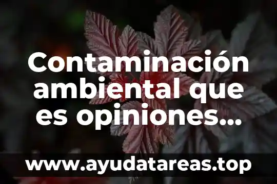 Que es una metáfora en artes 5 Contaminación ambiental que es opiniones profesionales