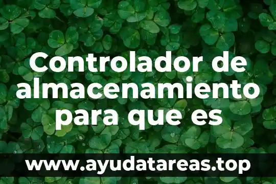 Que es portada significado 5 Controlador de almacenamiento para que es