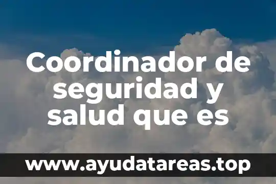 Qué es número de volante oficios 3 Coordinador de seguridad y salud que es
