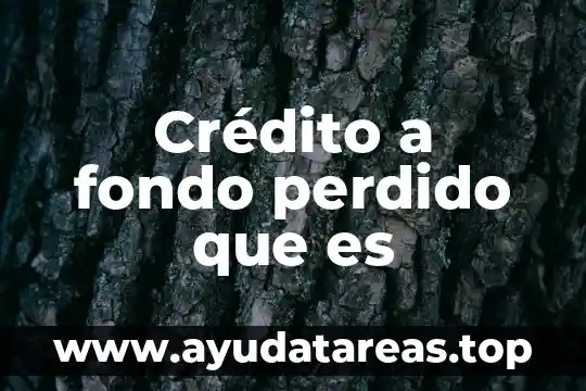 Que es elevacion del agua 3 Crédito a fondo perdido que es